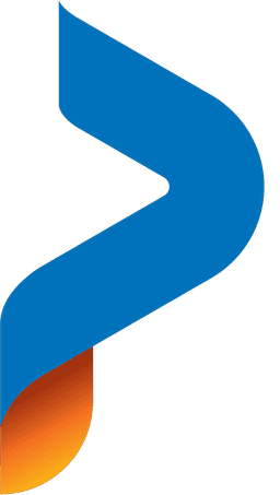 Payd logo