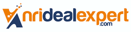 NriDealExpert logo